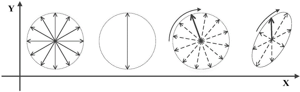 Polarization modulation Raman probe using spatial output Laser, and spectral detection method