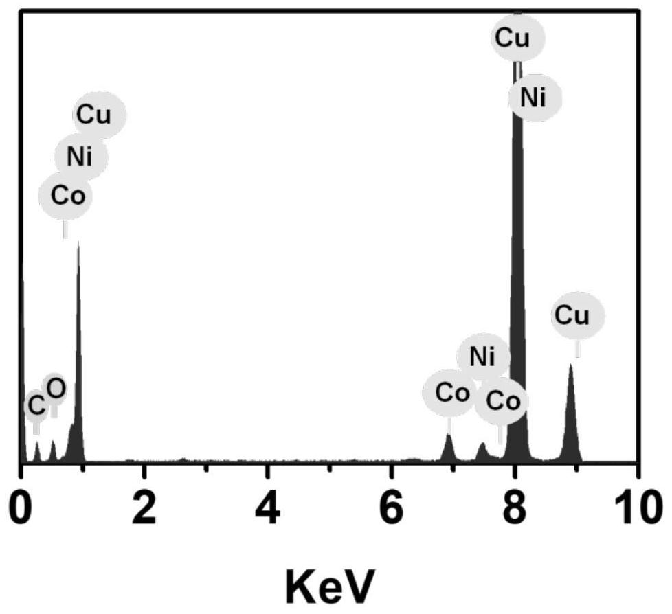 Copper nanowire loaded CoNi nanosheet electrocatalyst as well as preparation method and application thereof