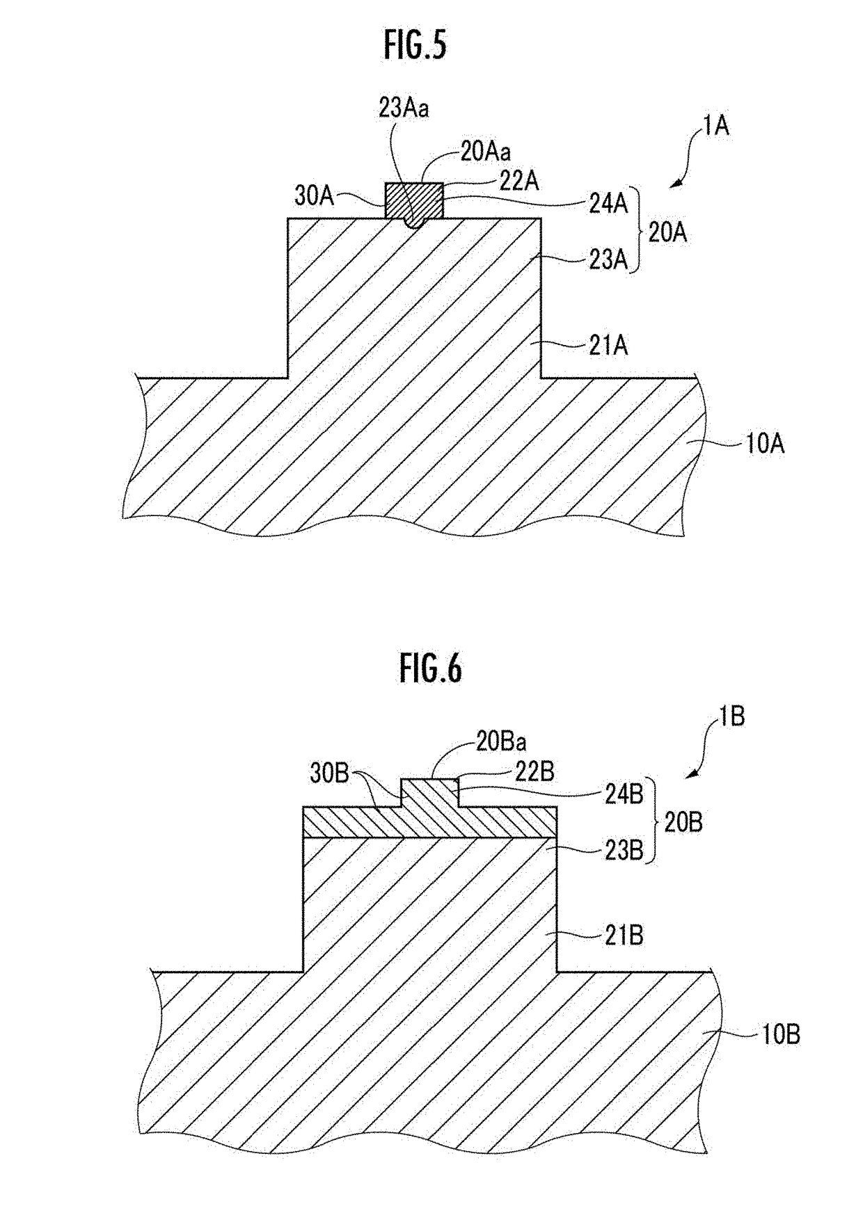 Substrate holding member