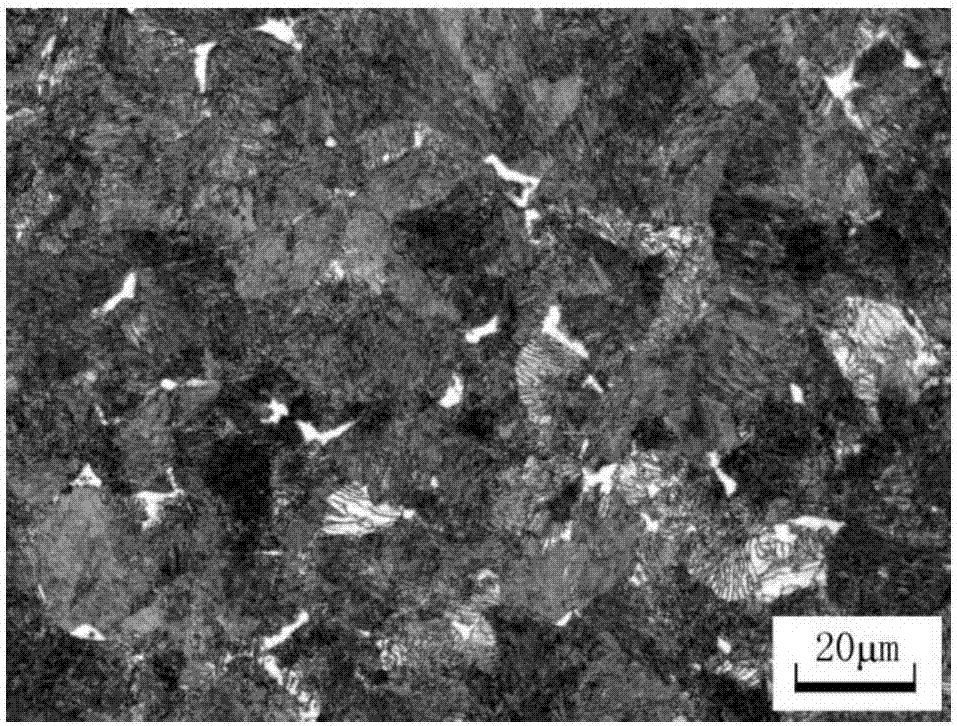 Spring steel and surface decarbonization control process thereof