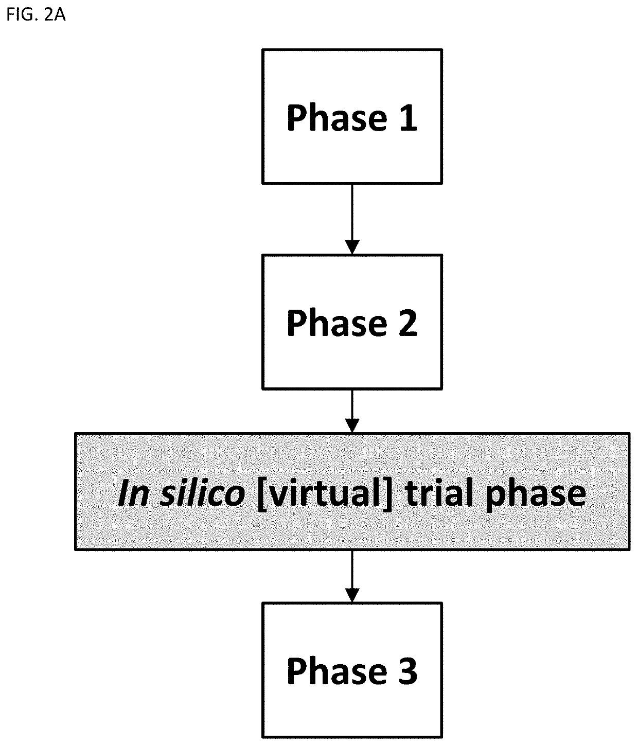 System and method of conducting in silico clinical trials