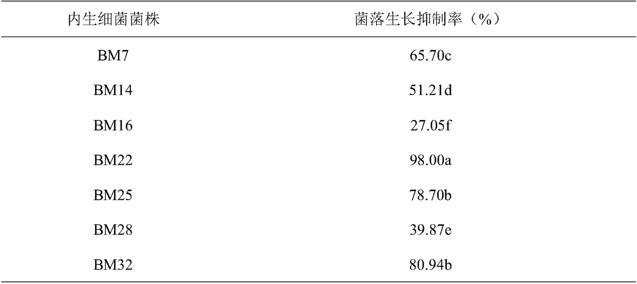 Preparation and application of bacillus megatherium BM22 and spore powder thereof