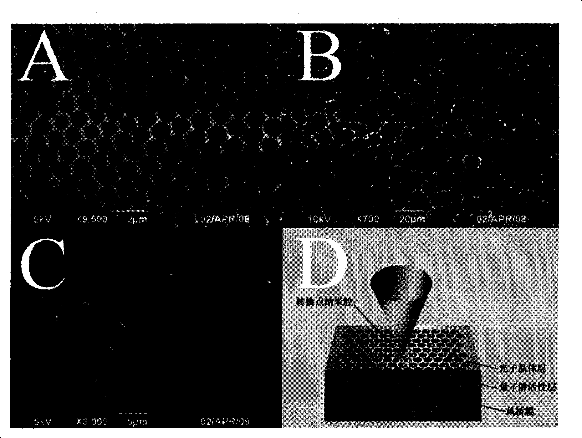 Diblock copolymer containing full-fluorine cyclobutyl aryl aether block and uses thereof