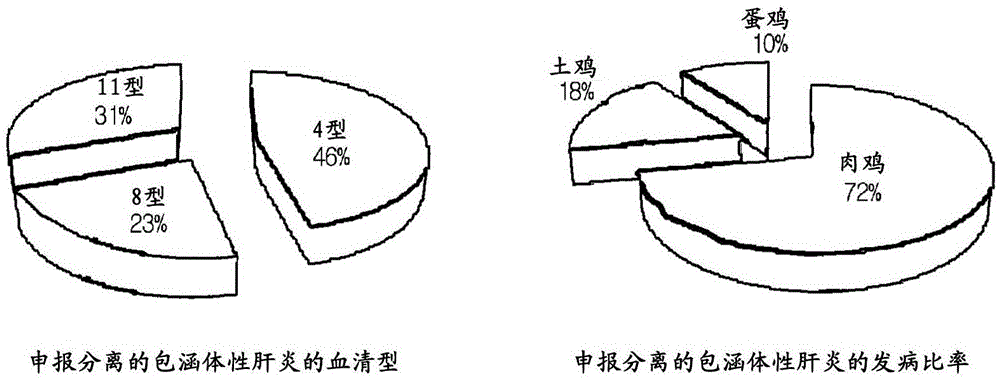 Novel fowl adenovirus and vaccine thereof