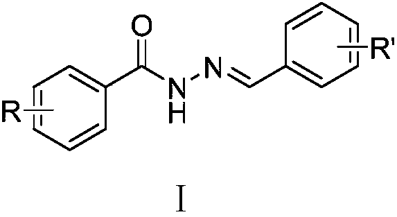 Acylhydrazone compounds with anti-tumor activity as well as preparation method and application of acylhydrazone compounds