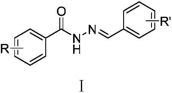 Acylhydrazone compounds with anti-tumor activity as well as preparation method and application of acylhydrazone compounds