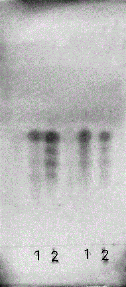 Glycyrrhiza inflate bat oligosaccharide and preparation method thereof