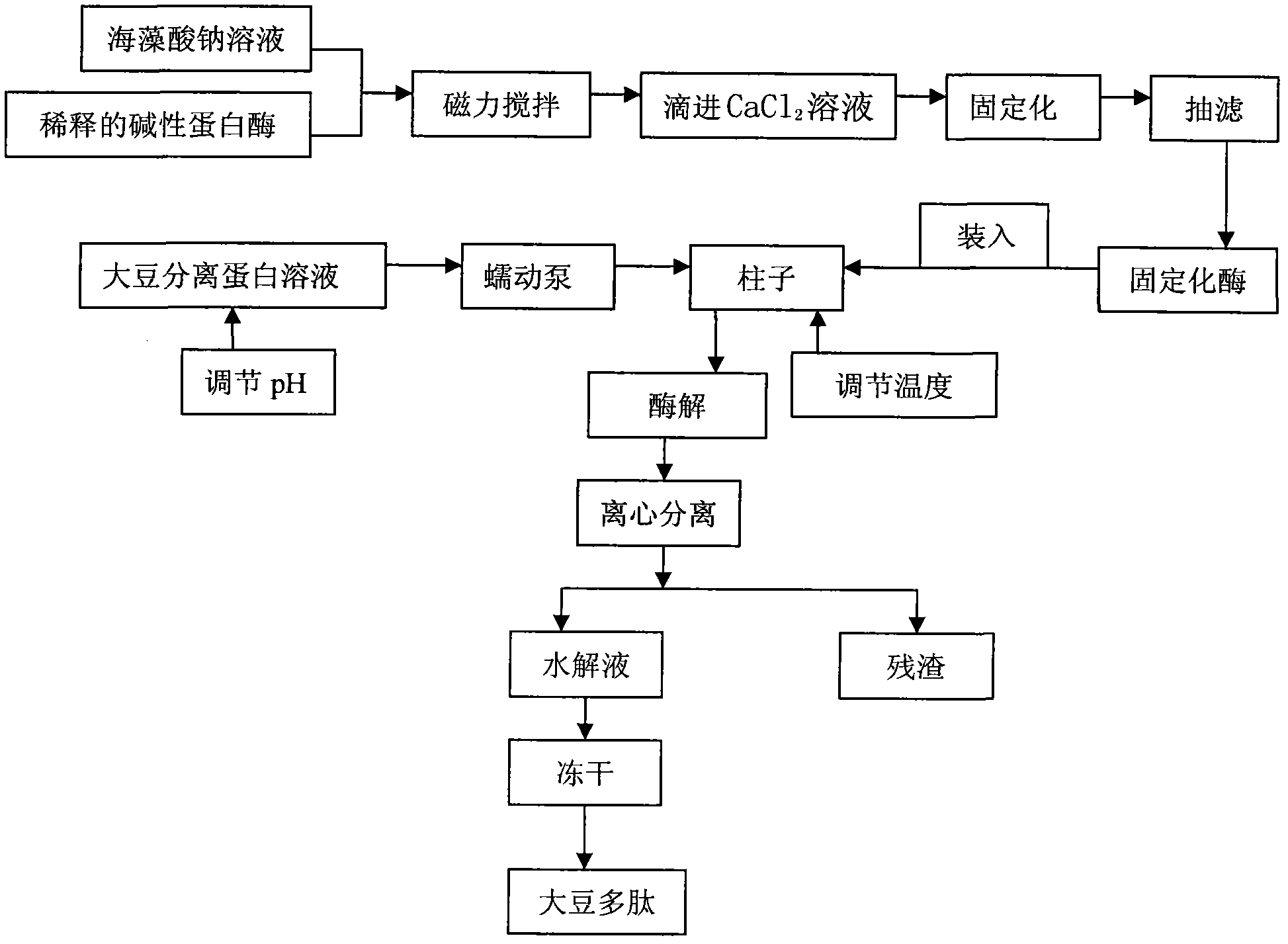 Method for preparing soybean peptide by immobilized alkaline protease