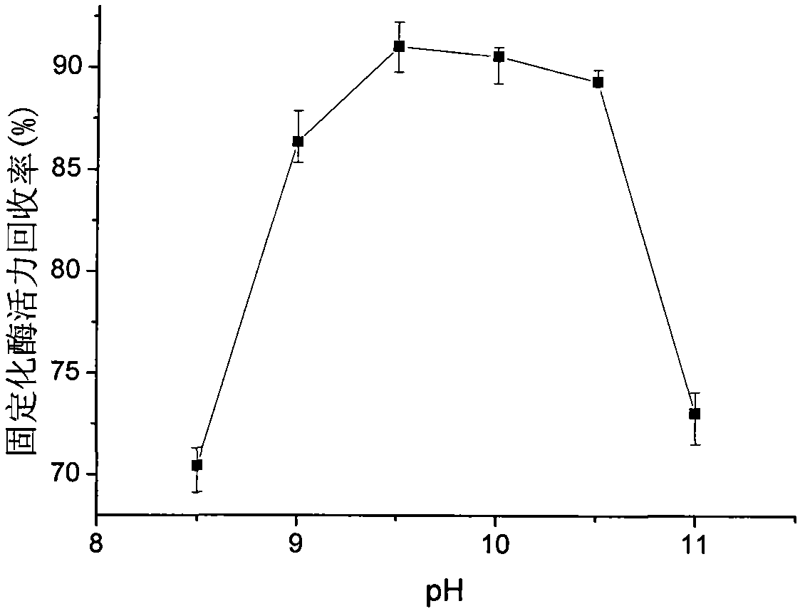 Method for preparing soybean peptide by immobilized alkaline protease