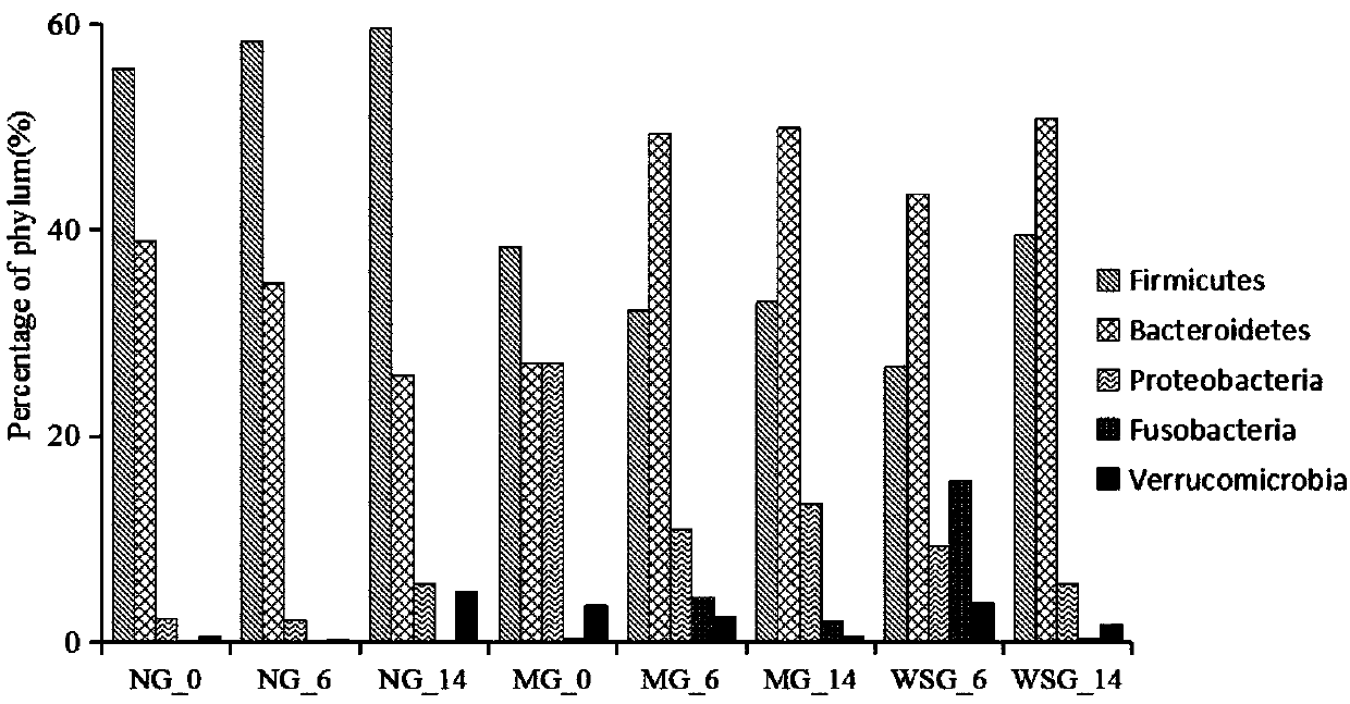 Application of walnut shell flavone extract to preparation of medicines for treating intestinal flora alternation