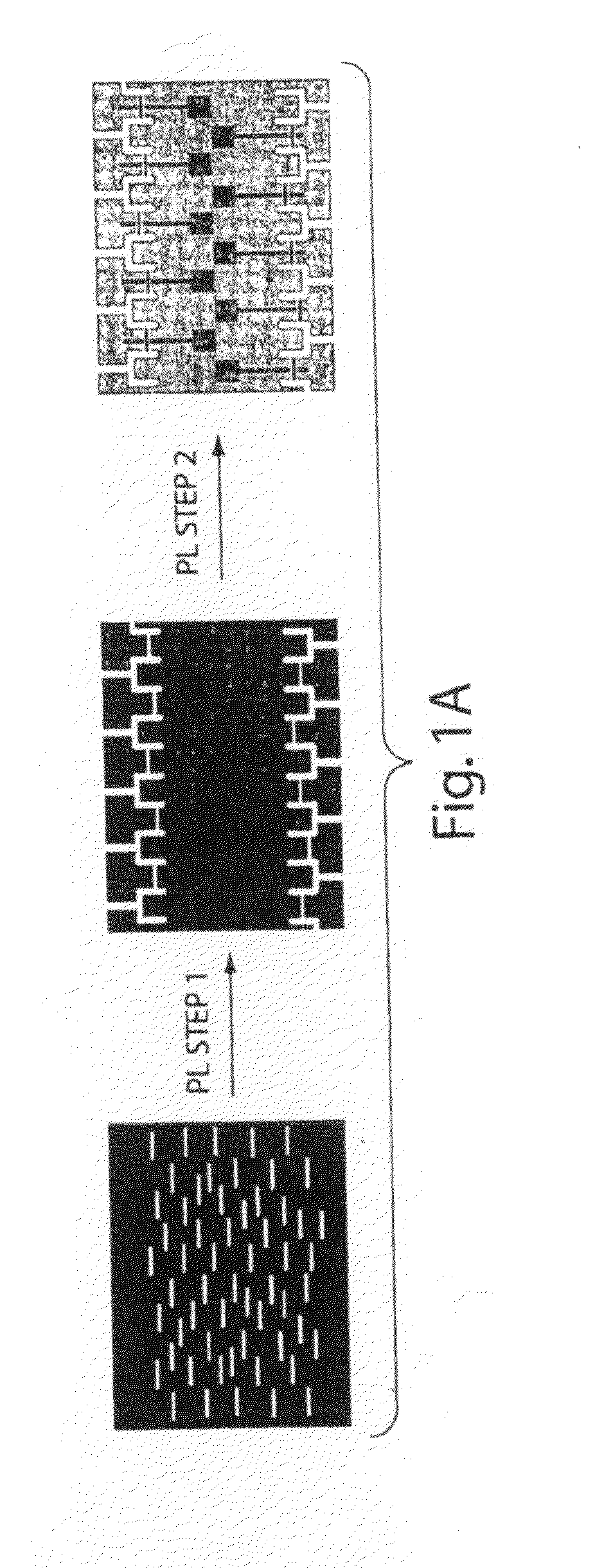 Nanobioelectronics