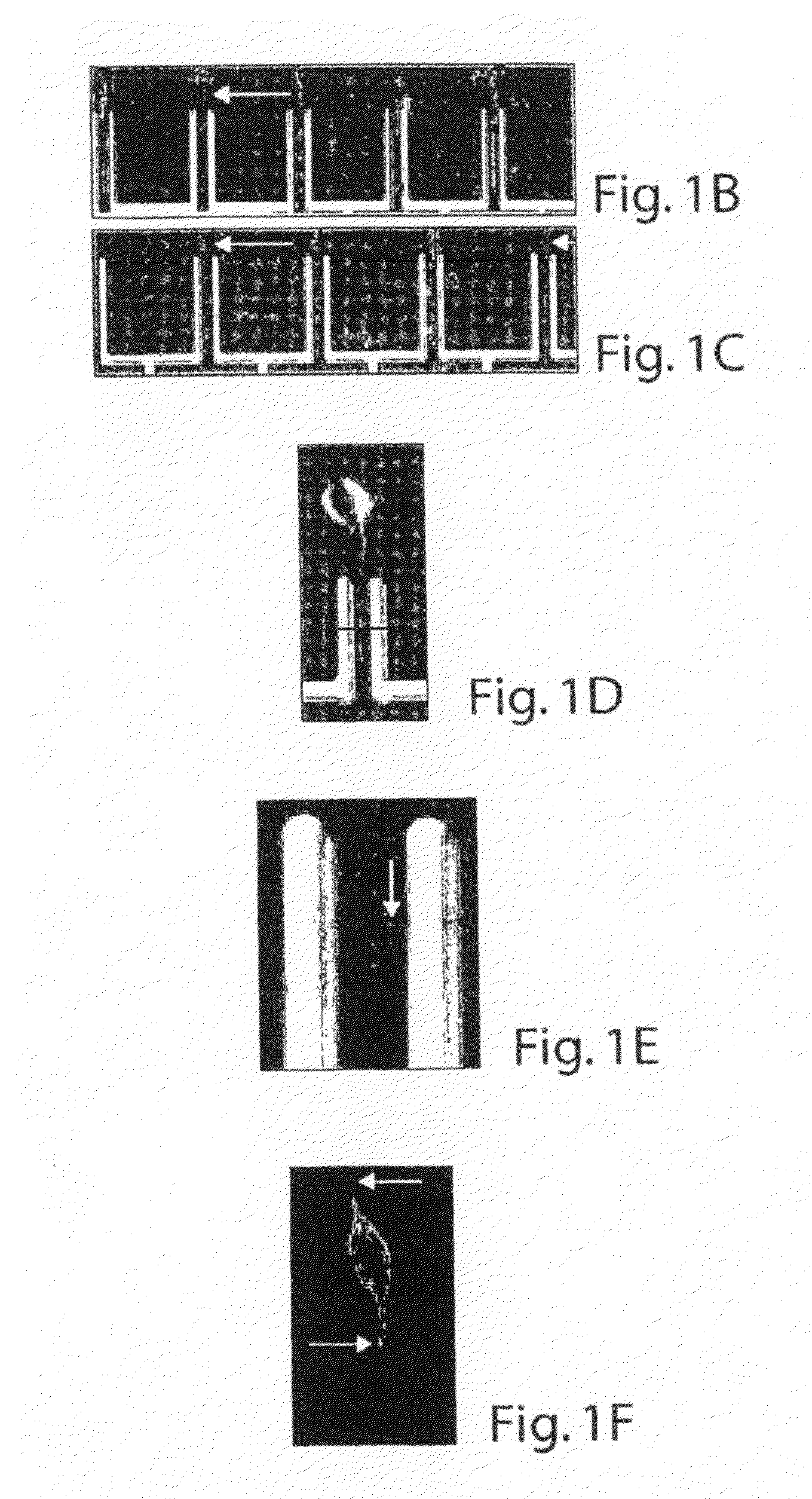 Nanobioelectronics