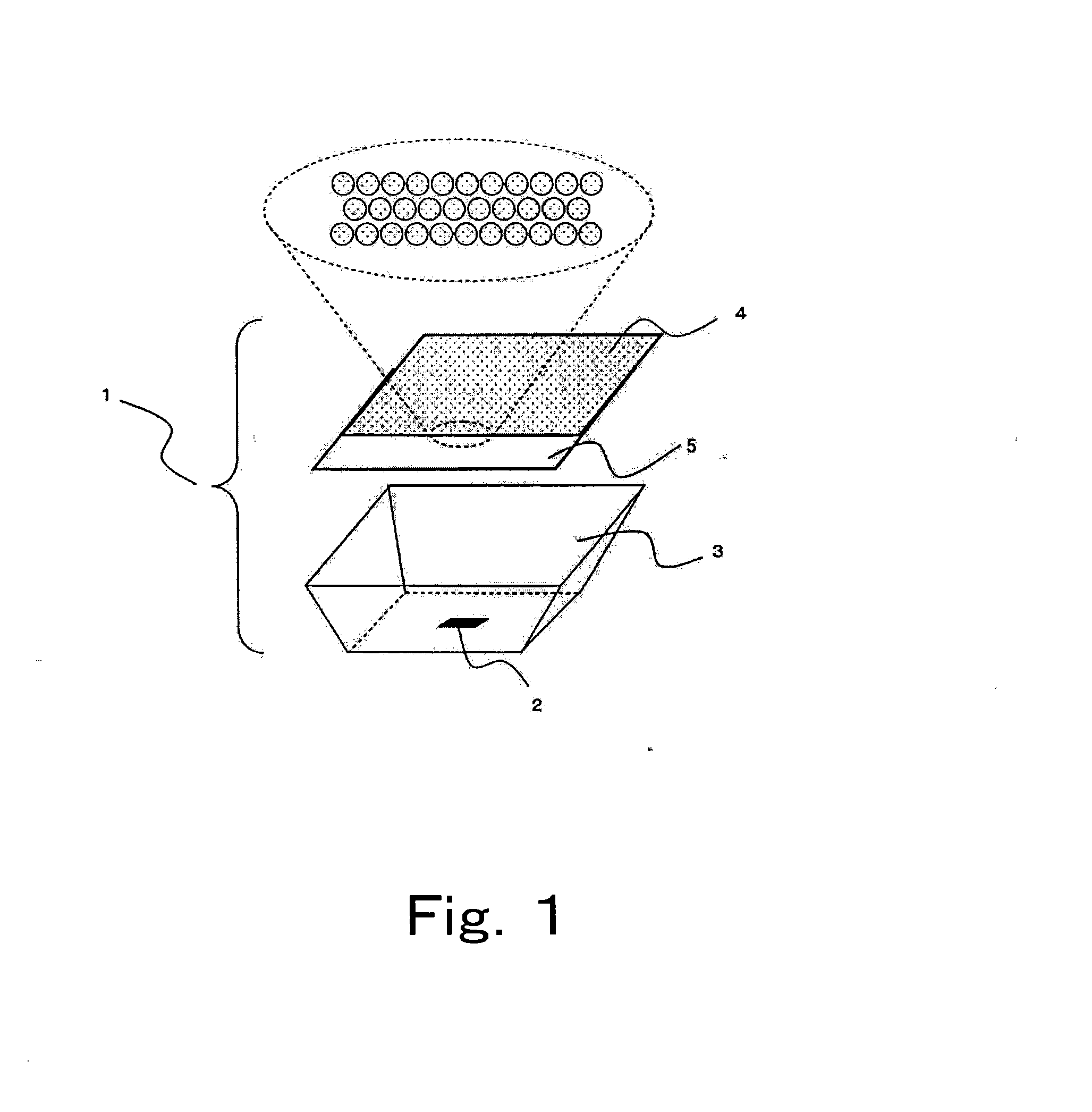 Light emitting device