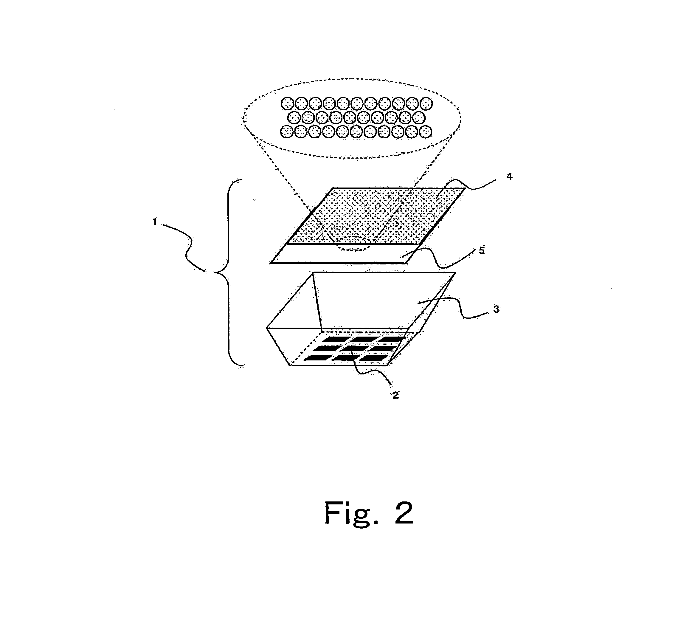 Light emitting device