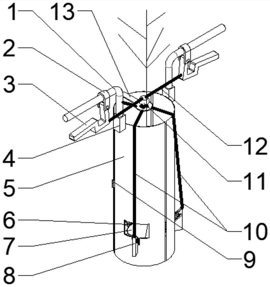 Sapling transplanting device