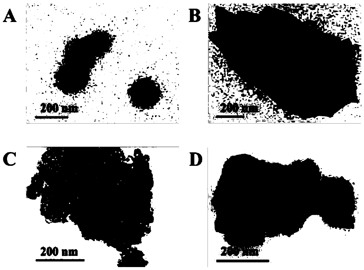 Preparation method of bismuth-doped polymerized carbon nitride nano composite material containing carbon defects