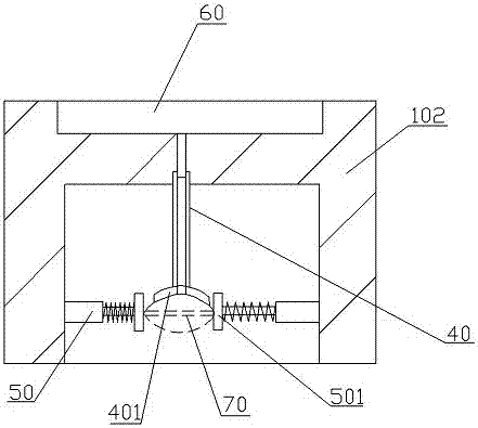 Walnut seedling raising and planting method