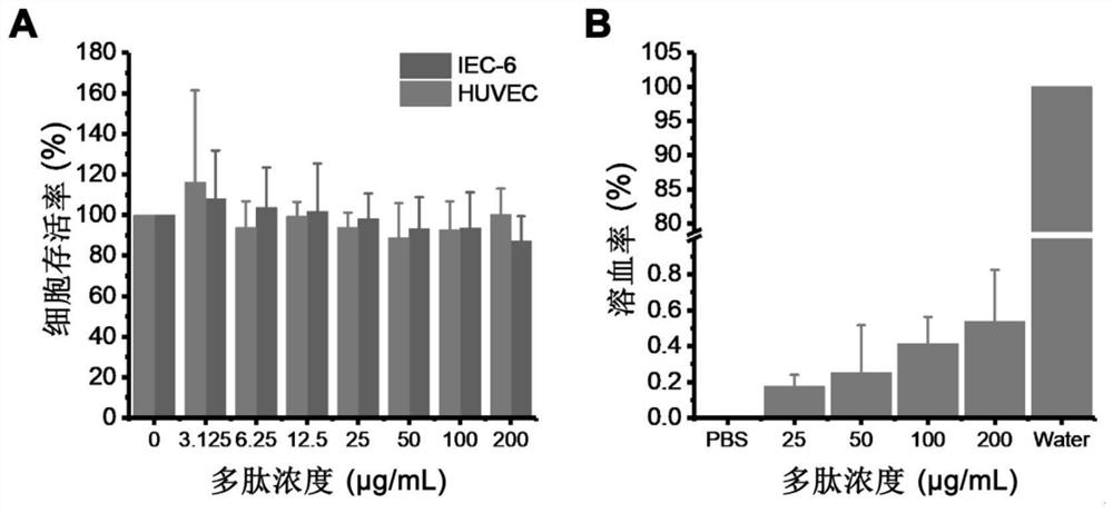 Oligopeptide for resisting novel coronavirus infection and preparation method and application thereof