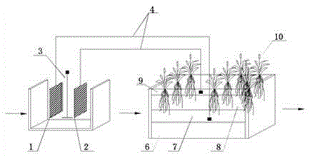 Sewage treatment method for purifying refractory organic pollutants