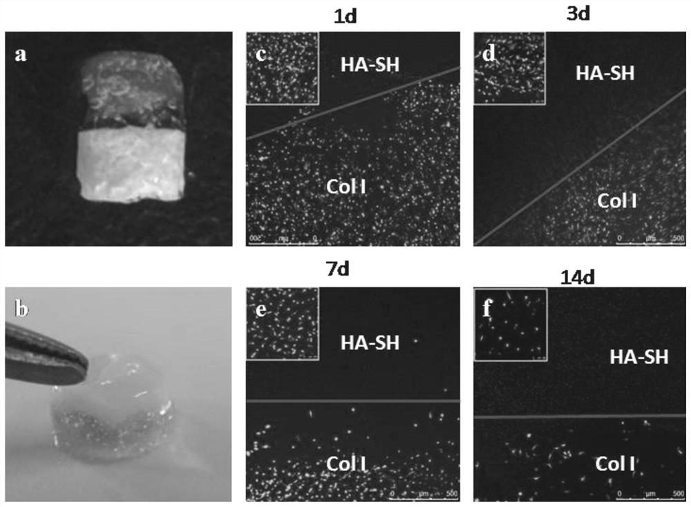 Integrated bone-cartilage repair scaffold and preparation method thereof