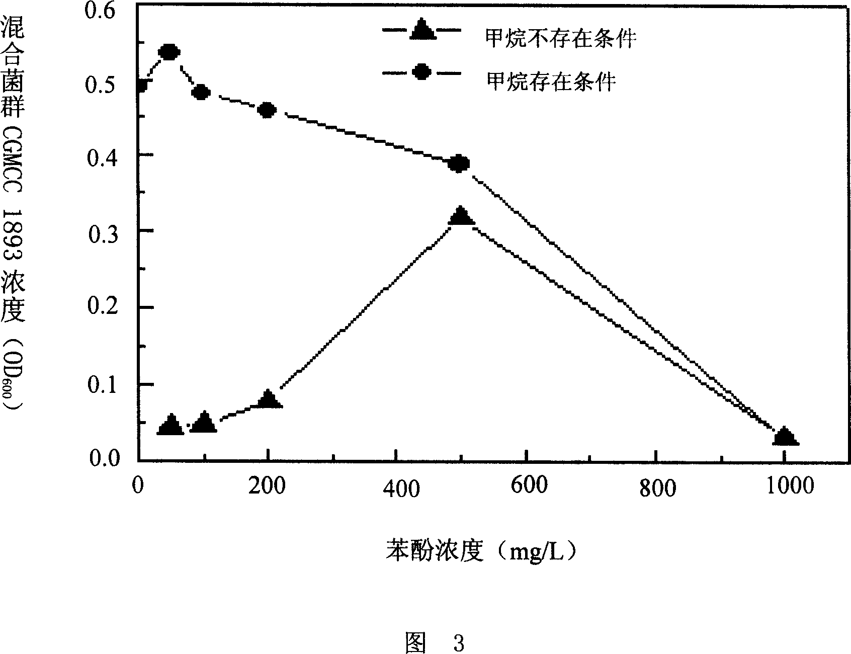 Process and special bacterial colony for degrading phenol organic matter