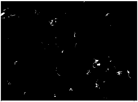 A kind of preparation method of carbon nanotube-lithium sulfide-carbon composite material