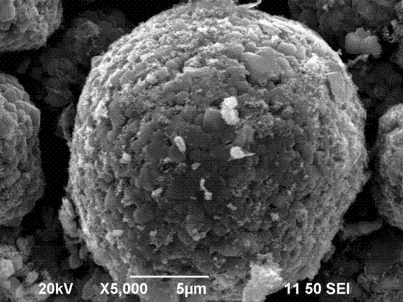 Method for recycling active substances from waste pieces of positive poles of lithium ion batteries