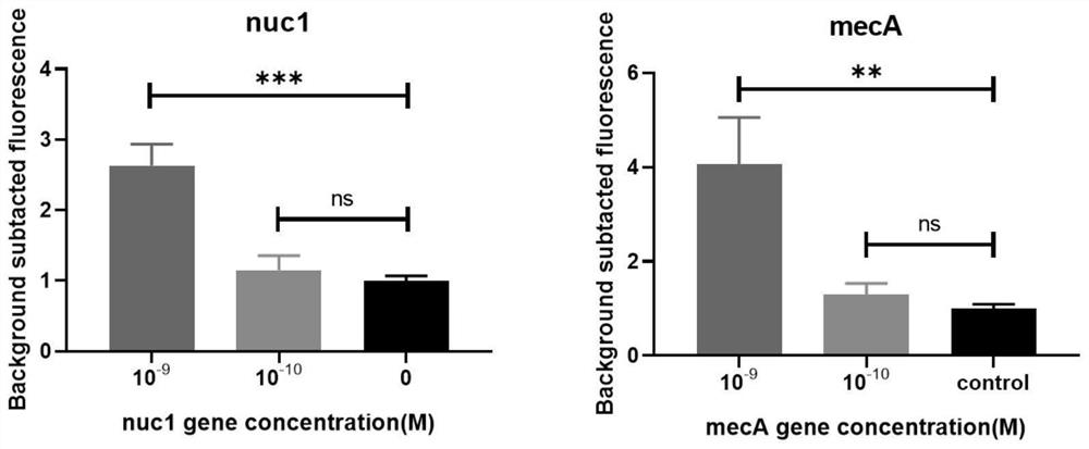 Method and kit for rapidly detecting nucleic acid of staphylococcus aureus and methicillin-resistant staphylococcus aureus