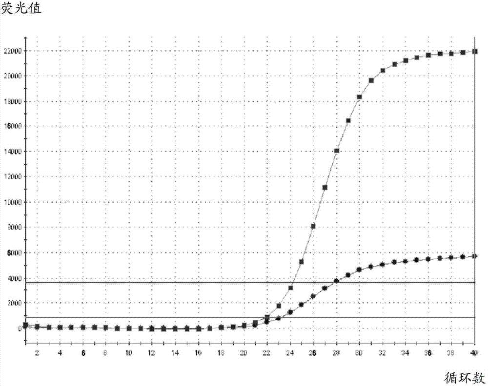 Staphylococcus aureus and hemolytic streptococcus detection kit and detection method