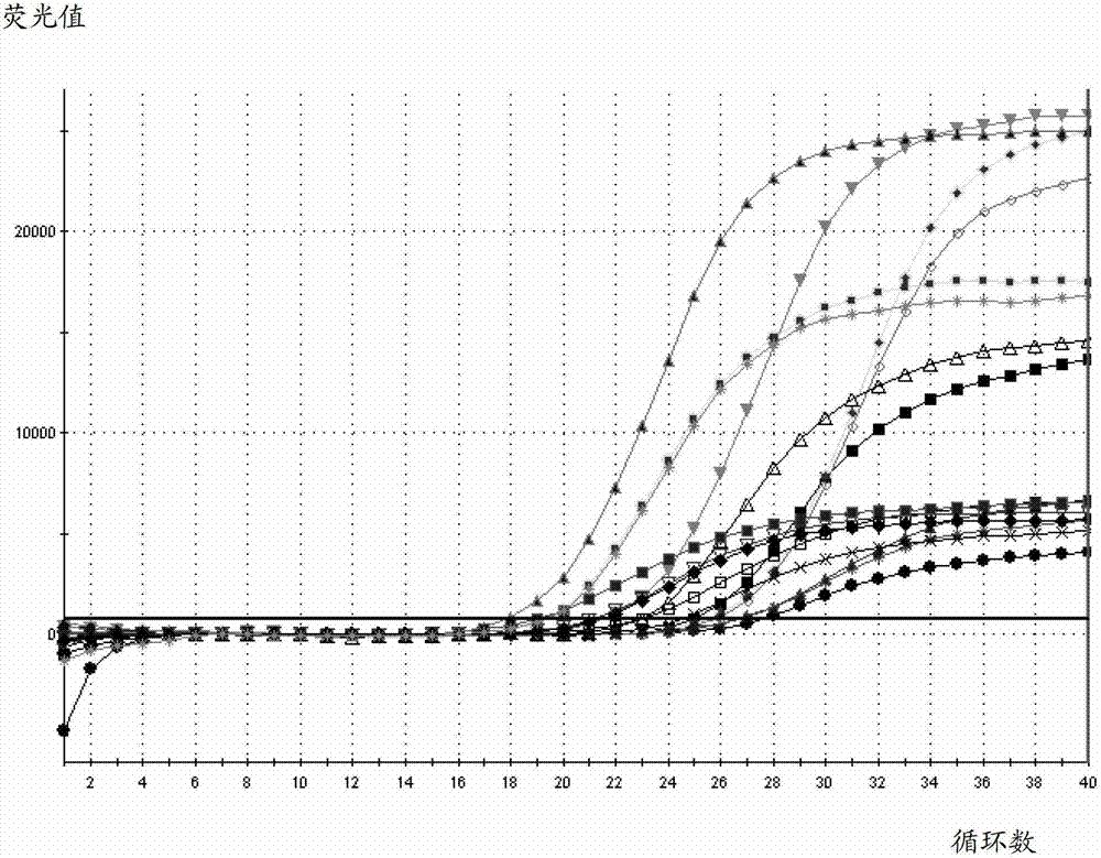 Staphylococcus aureus and hemolytic streptococcus detection kit and detection method