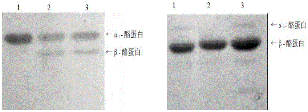 A kind of preparation method of cow's milk mixed type infant formula milk powder