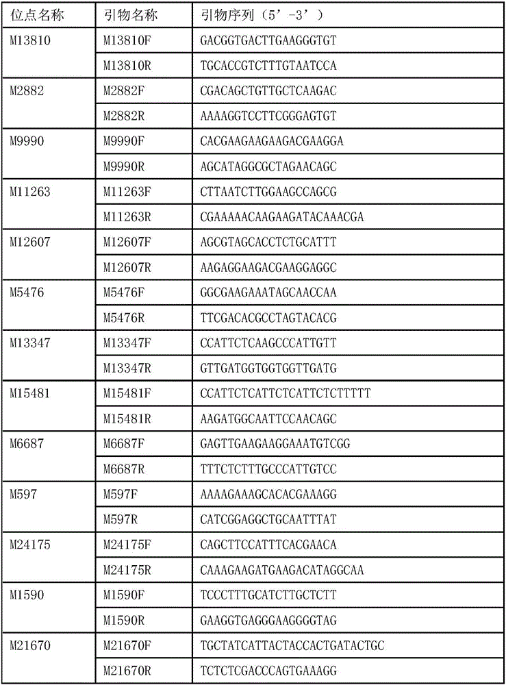 Molecular marker combination for Litopenaeus vannamei germplasm identification and application thereof