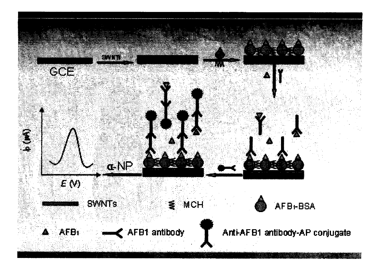 Method for detecting ultralow content of aflatoxin