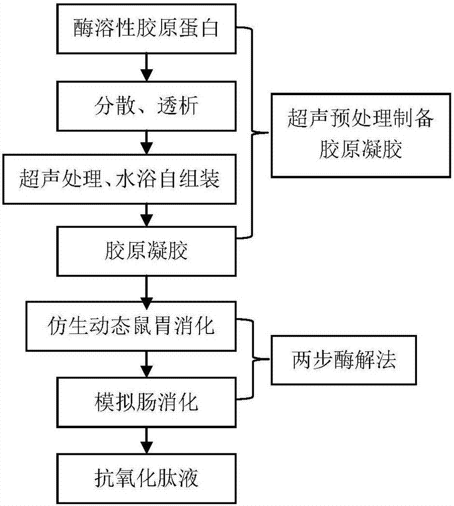 Method for preparing antioxidative peptide liquid of collagen gel with combination of ultrasonic treatment and simulative digestion