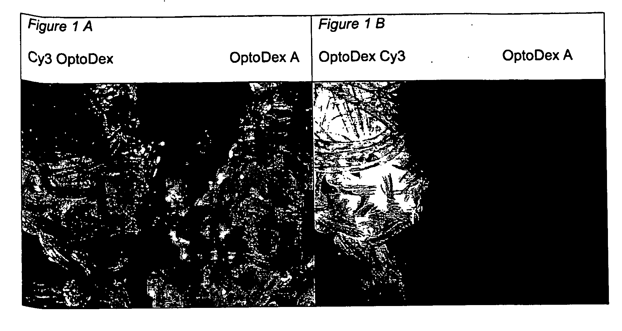 Functionalization of yarn and textile products