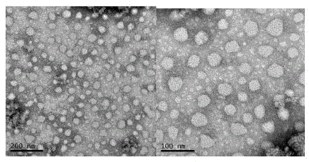 RGD-peptide-type cationic lipid compound, preparation method thereof, and application of compound to medicine and gene transportation