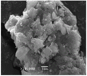 Preparation method of organic bentonite gel adsorbents