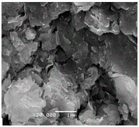 Preparation method of organic bentonite gel adsorbents