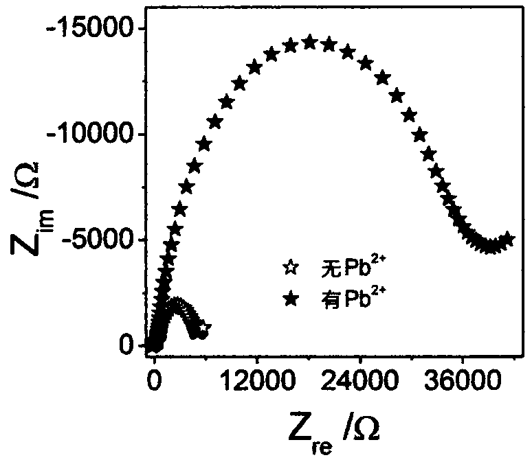 Lead ion alternating-current impedance sensor research based on hybridization chain reaction (HCR) and TdT modulation double signal amplification