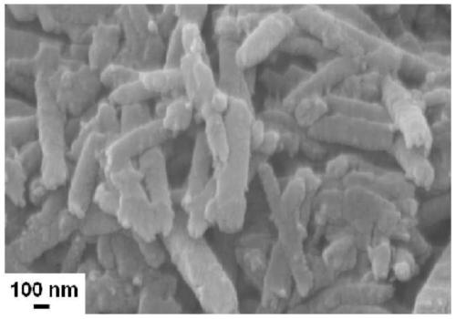 Super-hydrophobic electroactive anti-pitting coating capable of being solidified under normal temperature and preparation method thereof