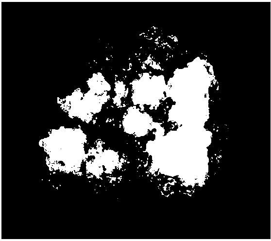 Method for establishing zephyranthes candida embryogenic cell suspension culture system and performing plant regeneration