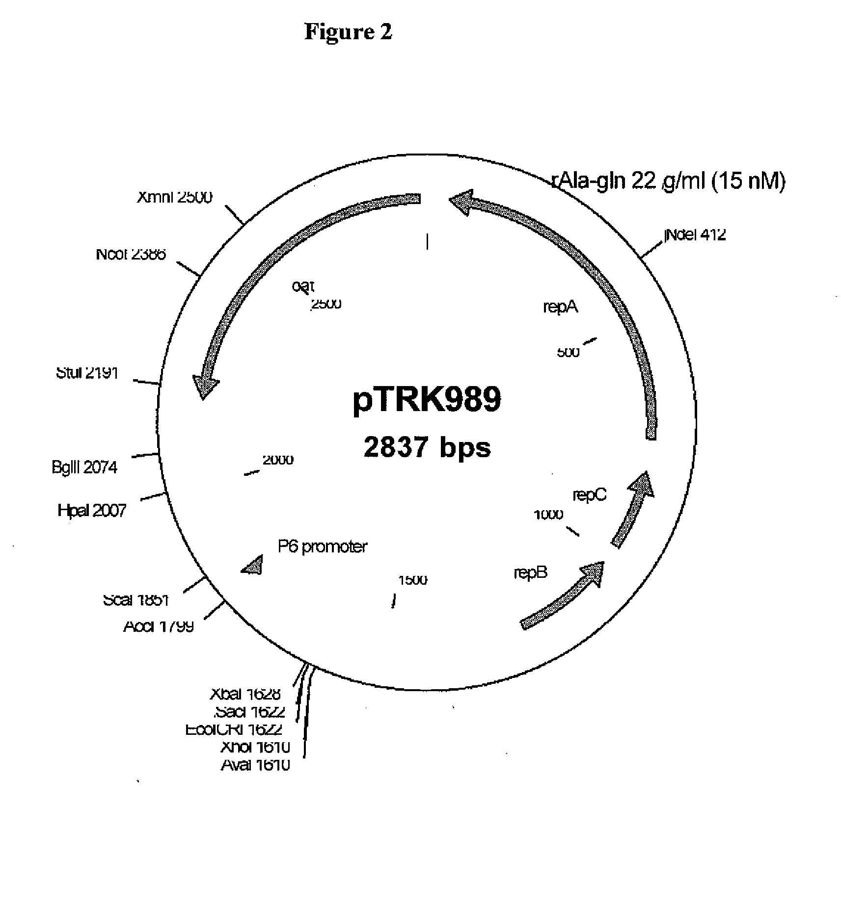 Compositions and methods for the delivery of therapeutic peptides