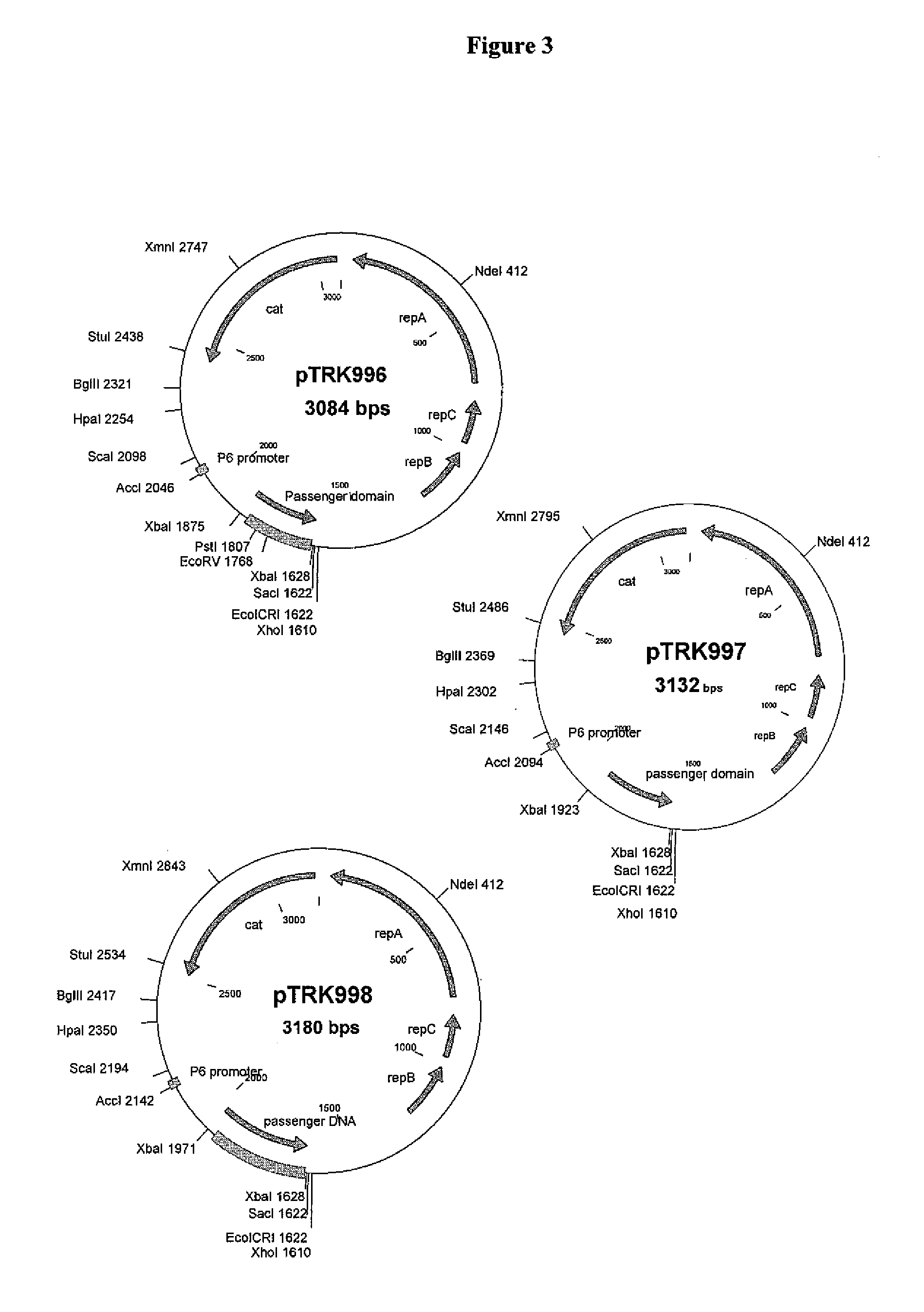 Compositions and methods for the delivery of therapeutic peptides