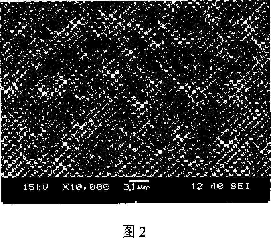 Preparation metod of modified ultroviolet light solidified wooden articles paint by in-situ method