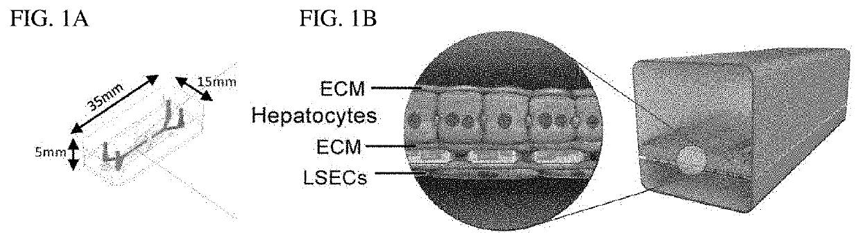 High-content imaging of microfluidic devices