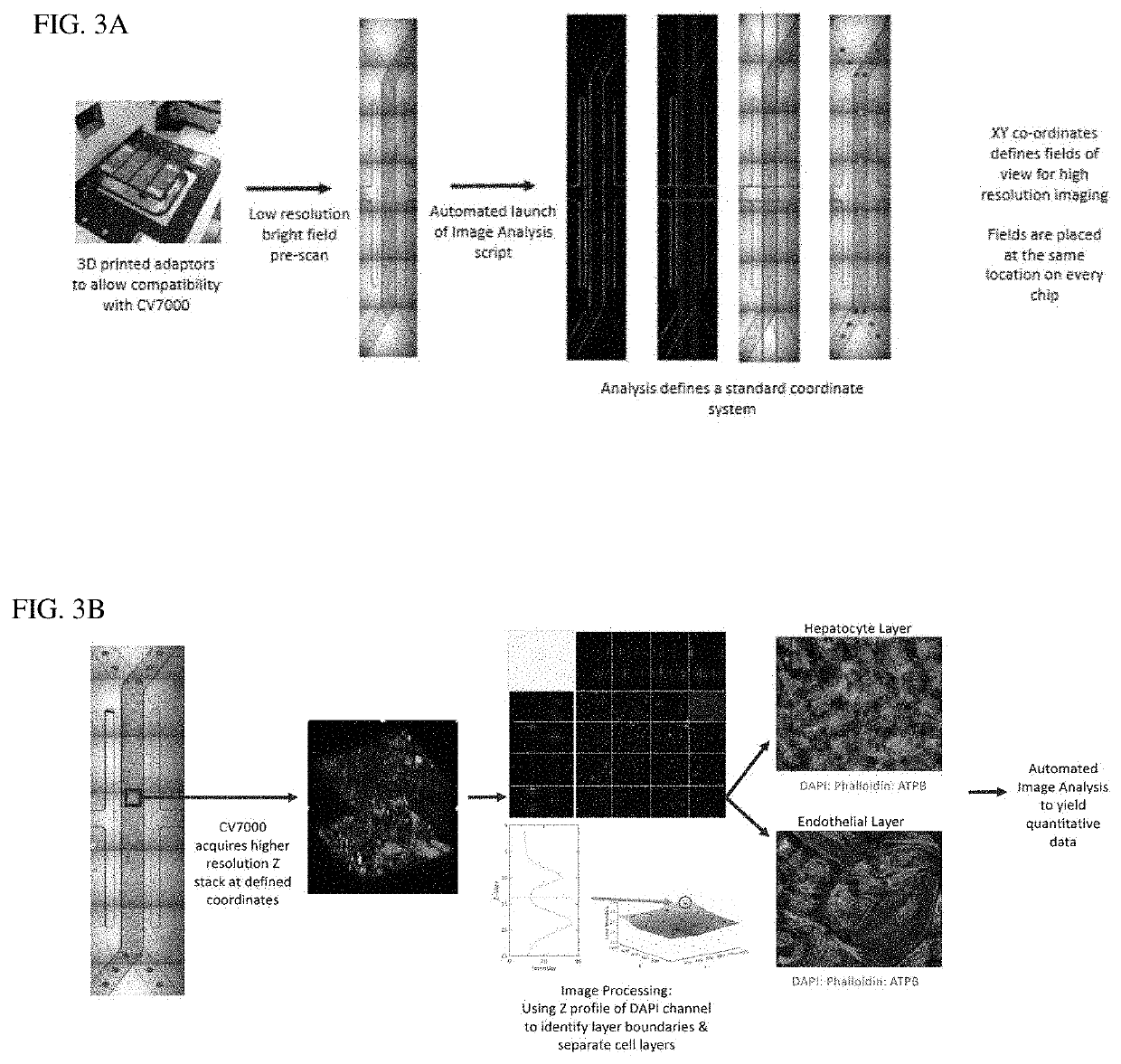 High-content imaging of microfluidic devices