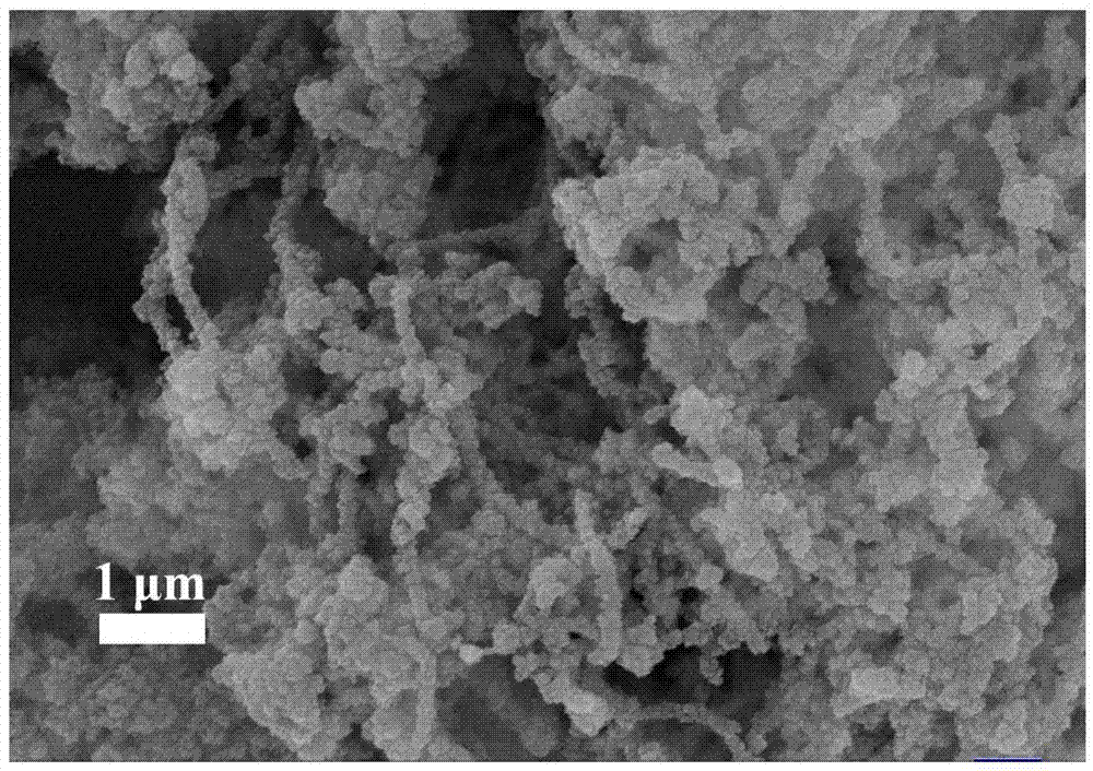 Preparation method for carbon-containing material metal organic framework-based composite phase change material