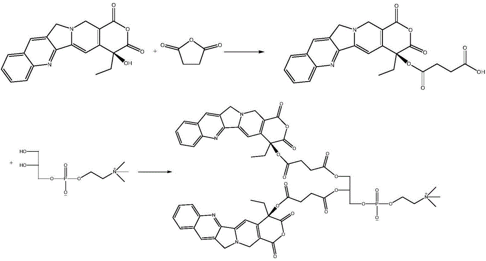 Camptothecin phospholipid compound, and medicinal composition and application thereof