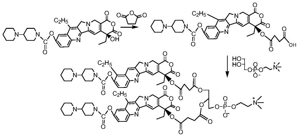 Camptothecin phospholipid compound, and medicinal composition and application thereof