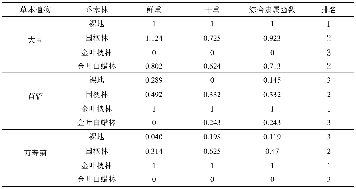 Method for testing tree-grass combination mode based on allelopathy